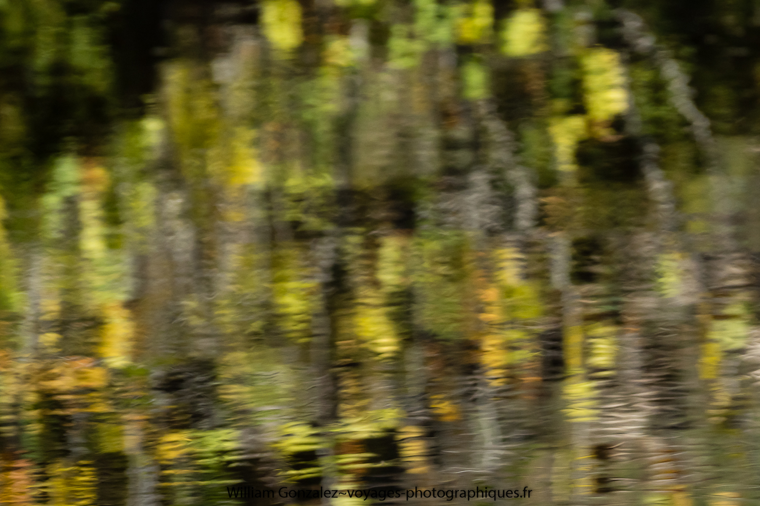 Le reflet dans l’eau de la végétation. Gard-France