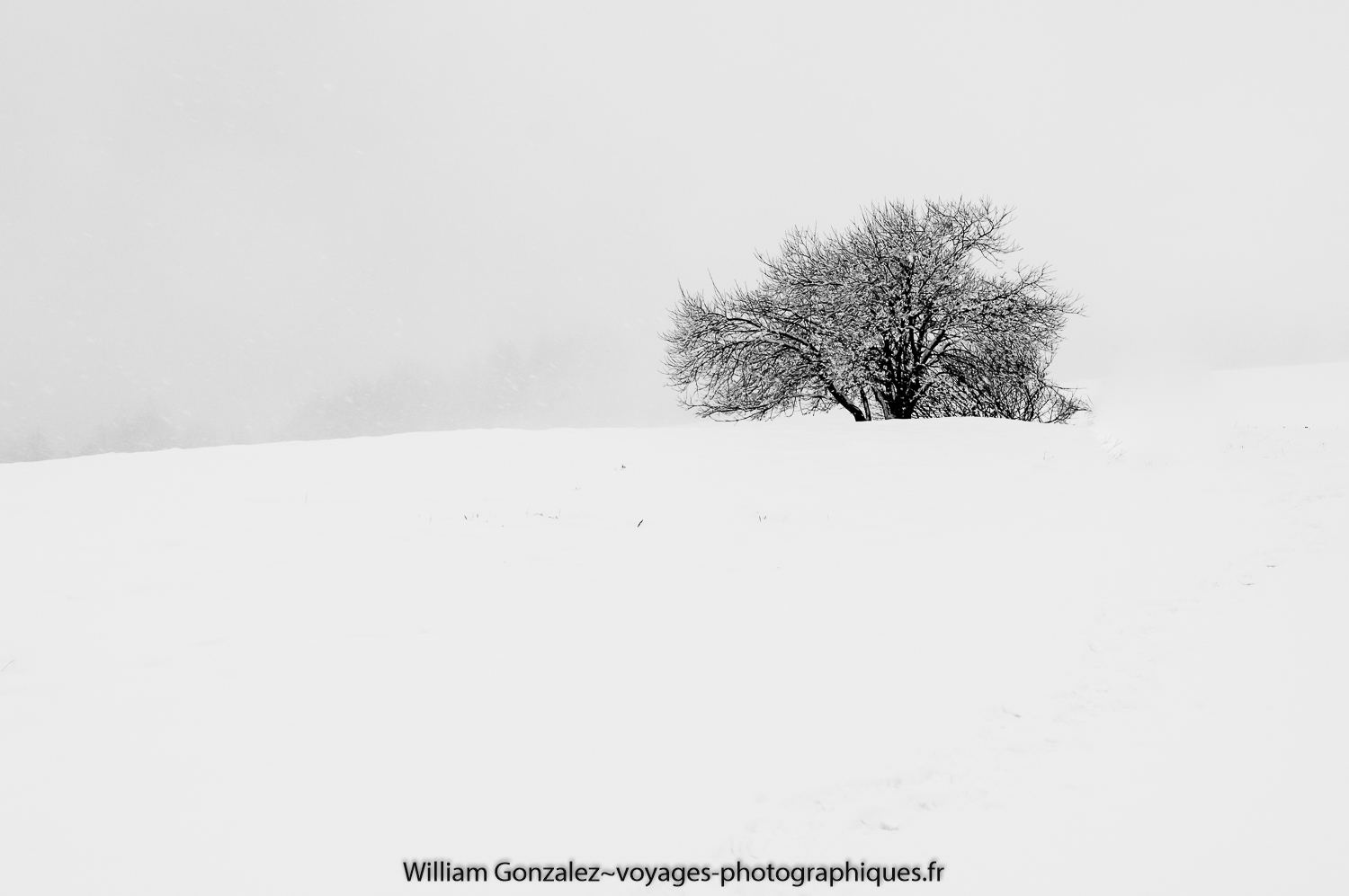 Temps de neige et solitude dans le Vercors n&b. France