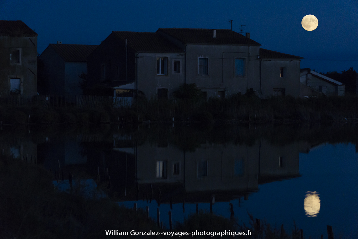 Jeux de miroir dans les étangs. France