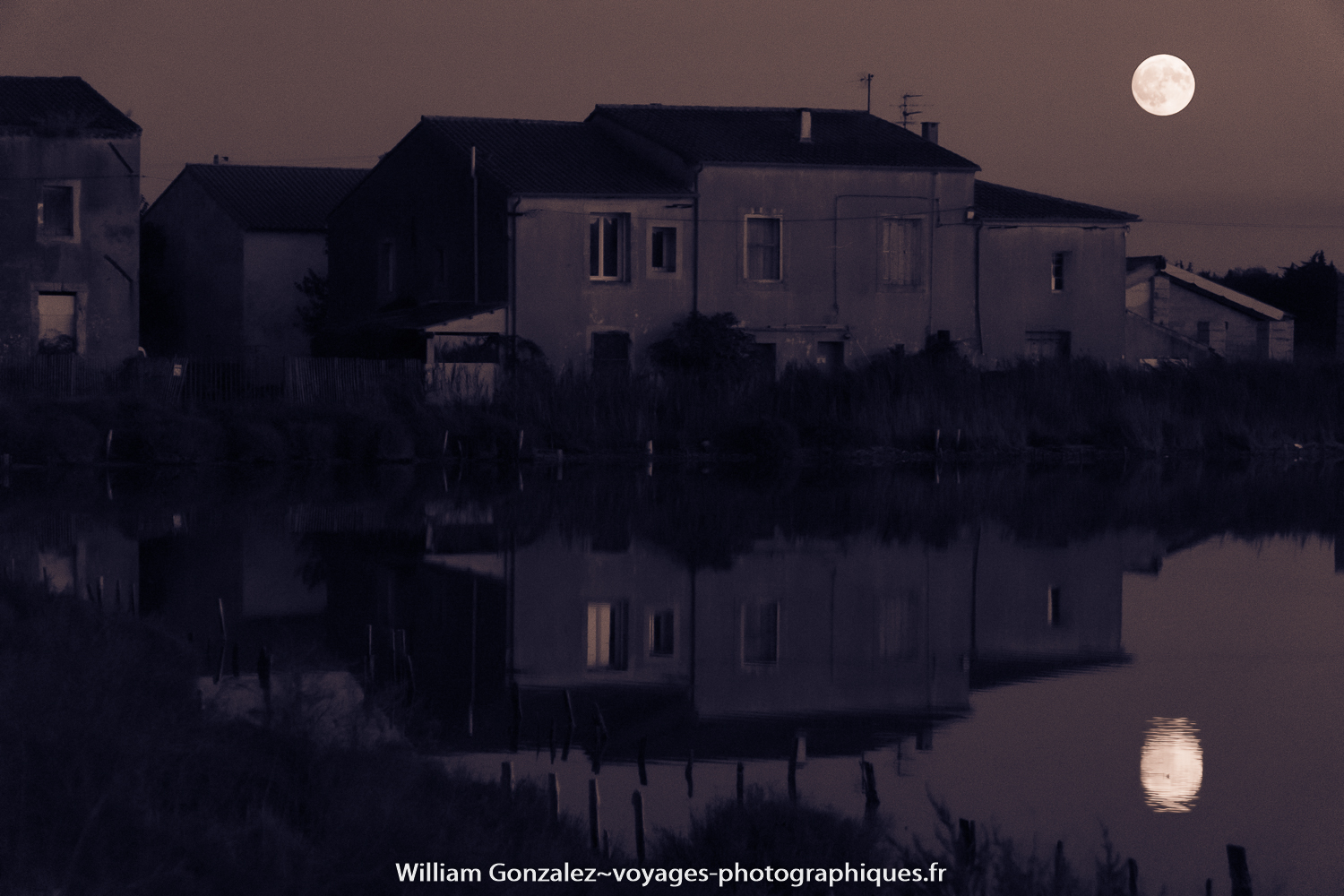 Jeux de miroir dans les étangs, filtre Lightroom. France