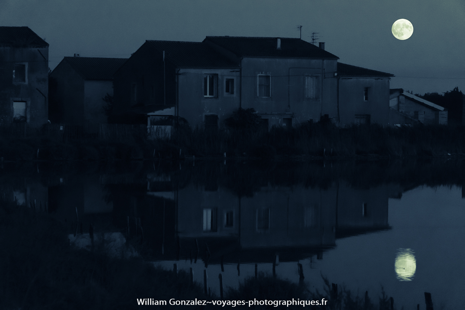 Jeux de miroir dans les étangs, filtre Lightroom. France