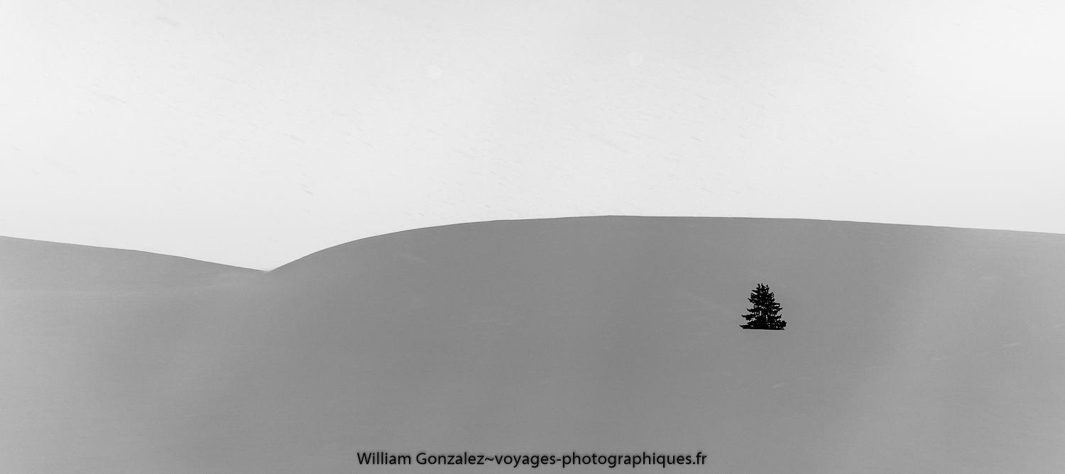 Approche du brouillard et solitude n&b Vercors. France